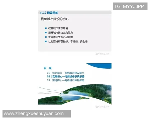 虹口足球场车牌标书的设计理念与实施方案探讨